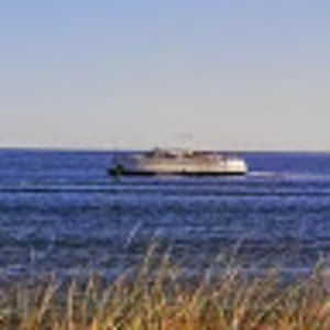 Meet your Posher, Gail